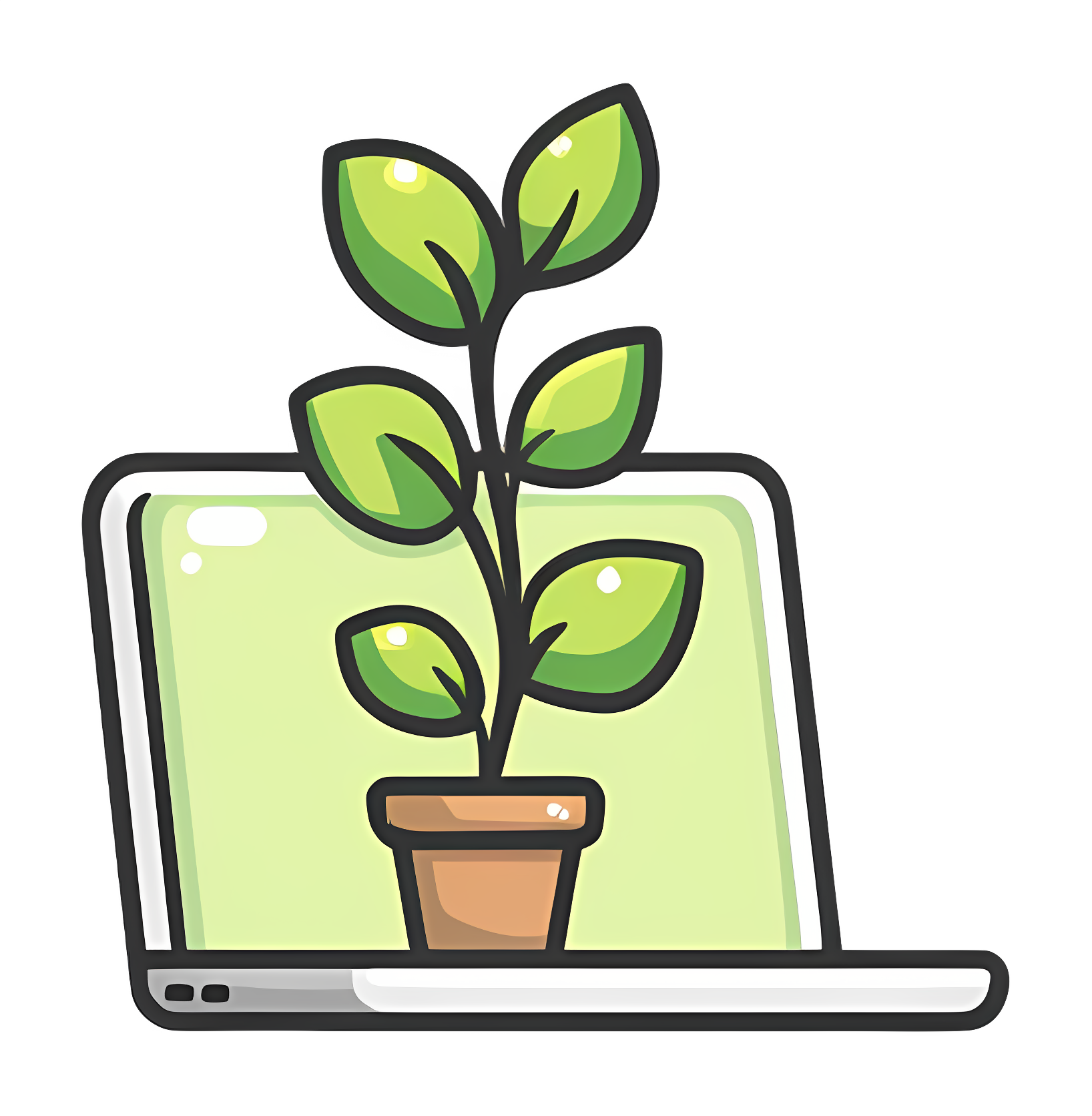 Photo portable plante verte